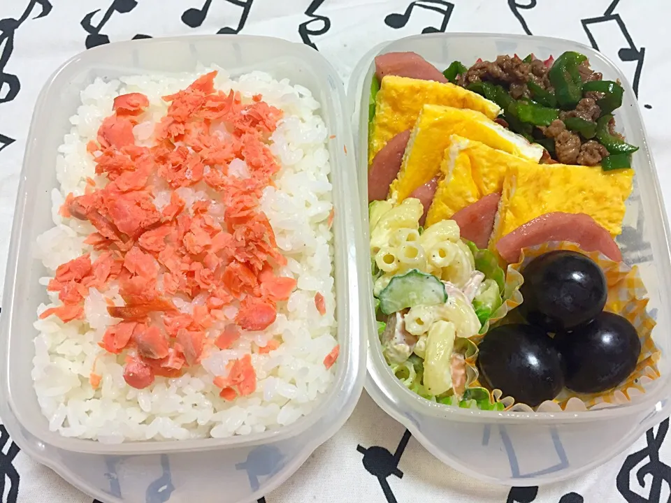 やっと晴れた！思う存分練習して来なされ！弁当|ちもこさん