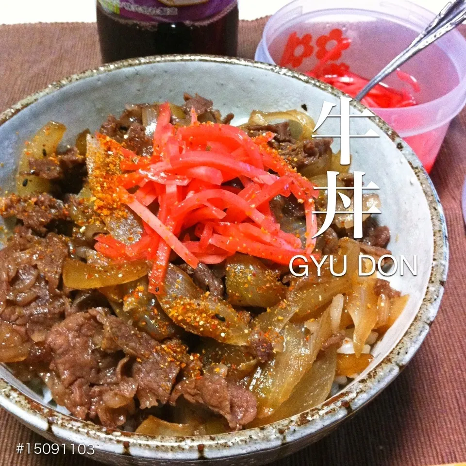 #15091103 牛丼 ¥370|dune725さん