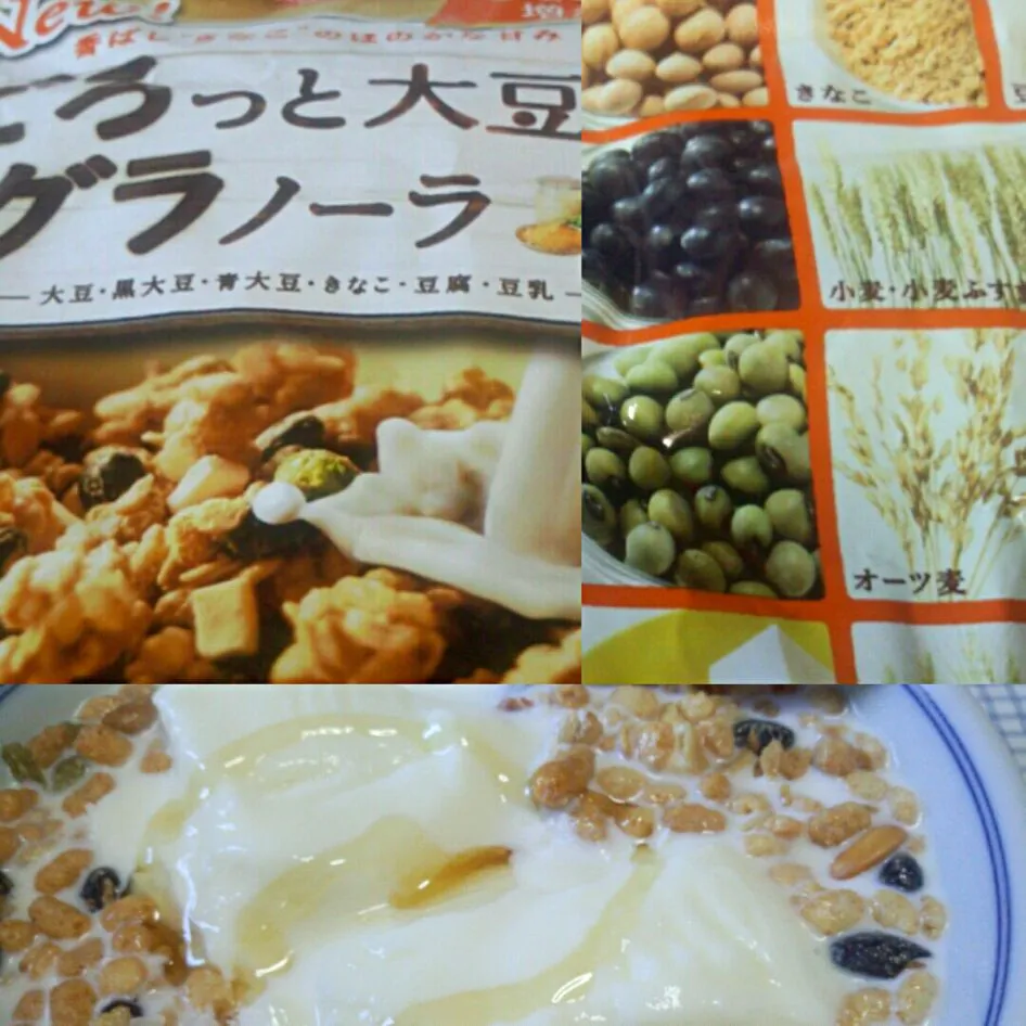 ごろっと大豆のグラノーラ 日清食品|sakumaさん