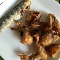 Philippine kusaya ( fish and squid)|imelda araiさん