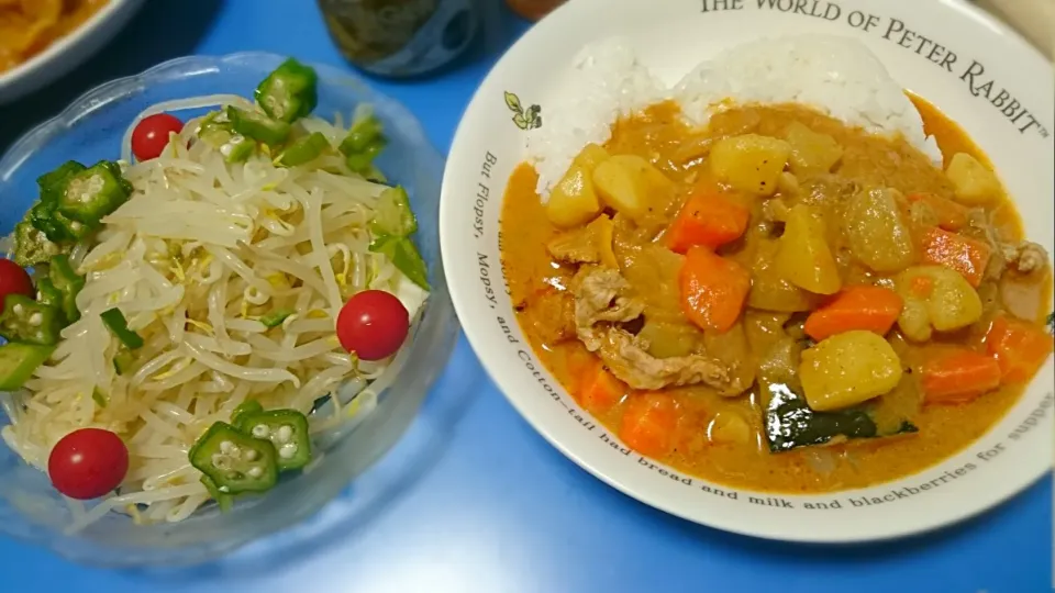 タイカレーともやしサラダ|ちょこ。さん