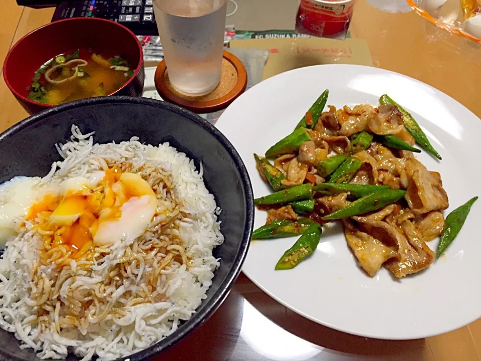 豚オクラ味噌炒め&シラスご飯|ウナギ犬さん