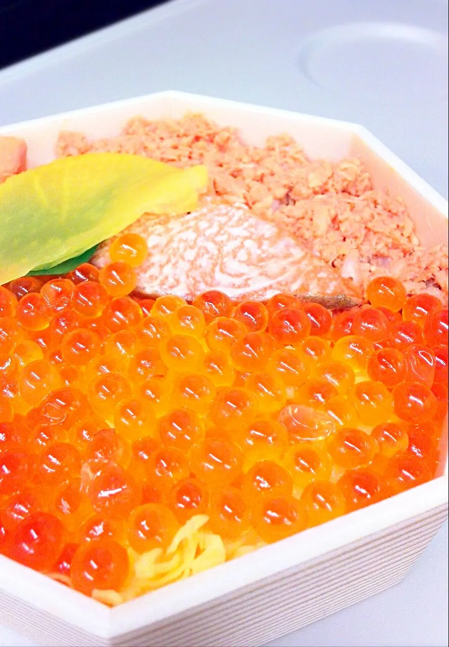 鮭はらこ弁当|こもず♪さん