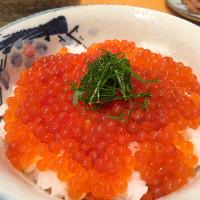 超簡単なイクラ丼