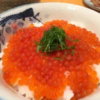 Snapdishの料理写真:超簡単なイクラ丼