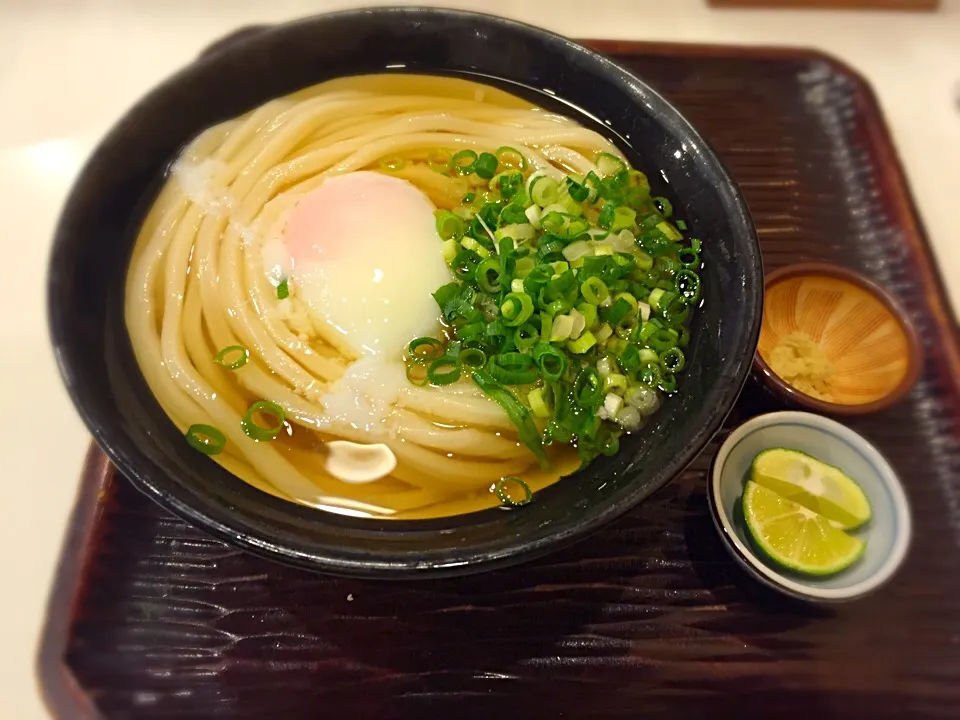 丸香のひやかけうどん|さとさやさん