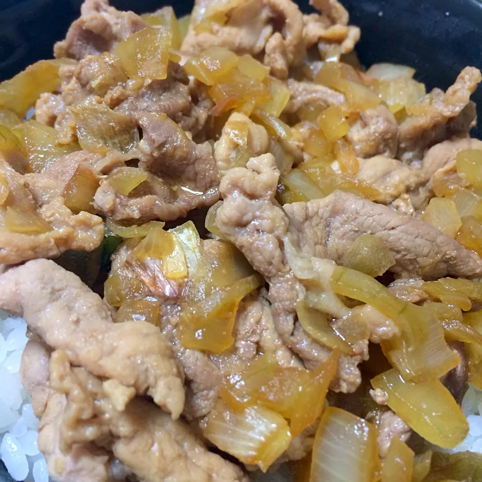 豚丼|シンさん