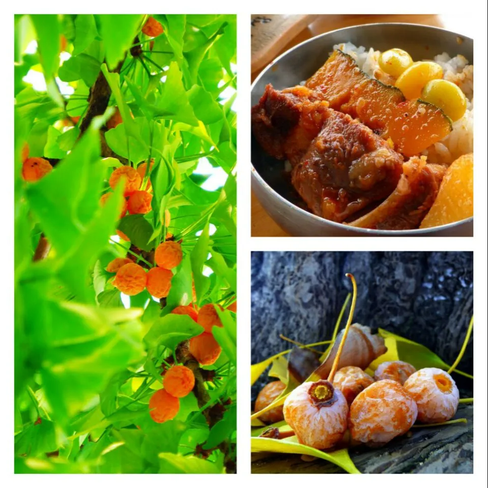 autumn bounty - ginkgo nuts...braised beef ribs with ginkgo nuts, pumpkin, dates, and garlic.|steven z.y.さん