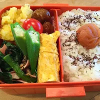 娘のお弁当|みさりんさん