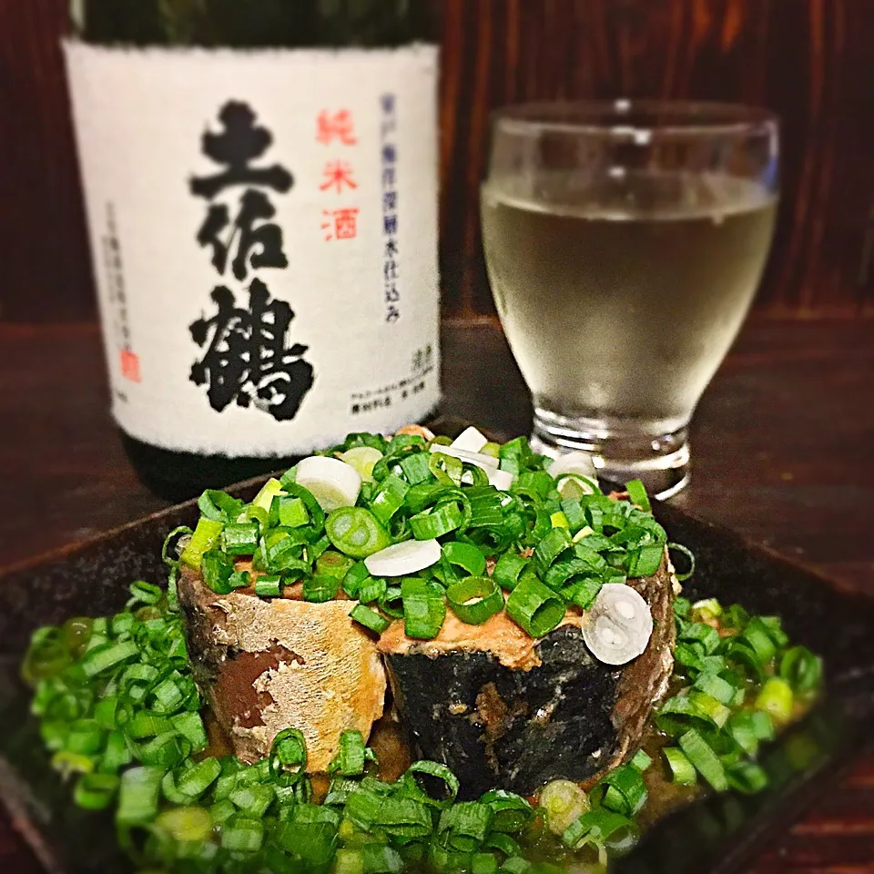 今宵の一酒一肴『純米土佐鶴』と『ネギ鯖缶』|ち〜おんさん