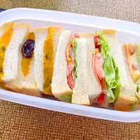 普通のサンドイッチお弁当。|鬼束清美さん