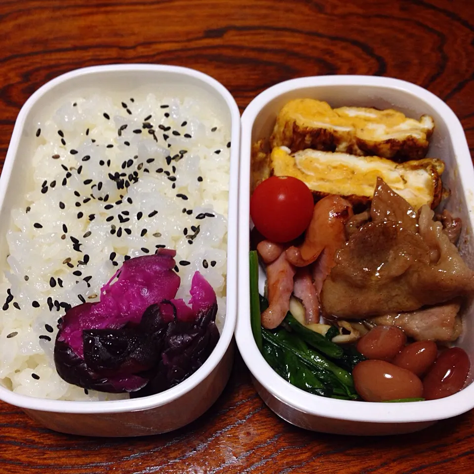 9/16のお弁当|どくきのこさん