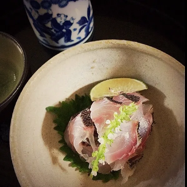 イサキ炙り|Shindoさん