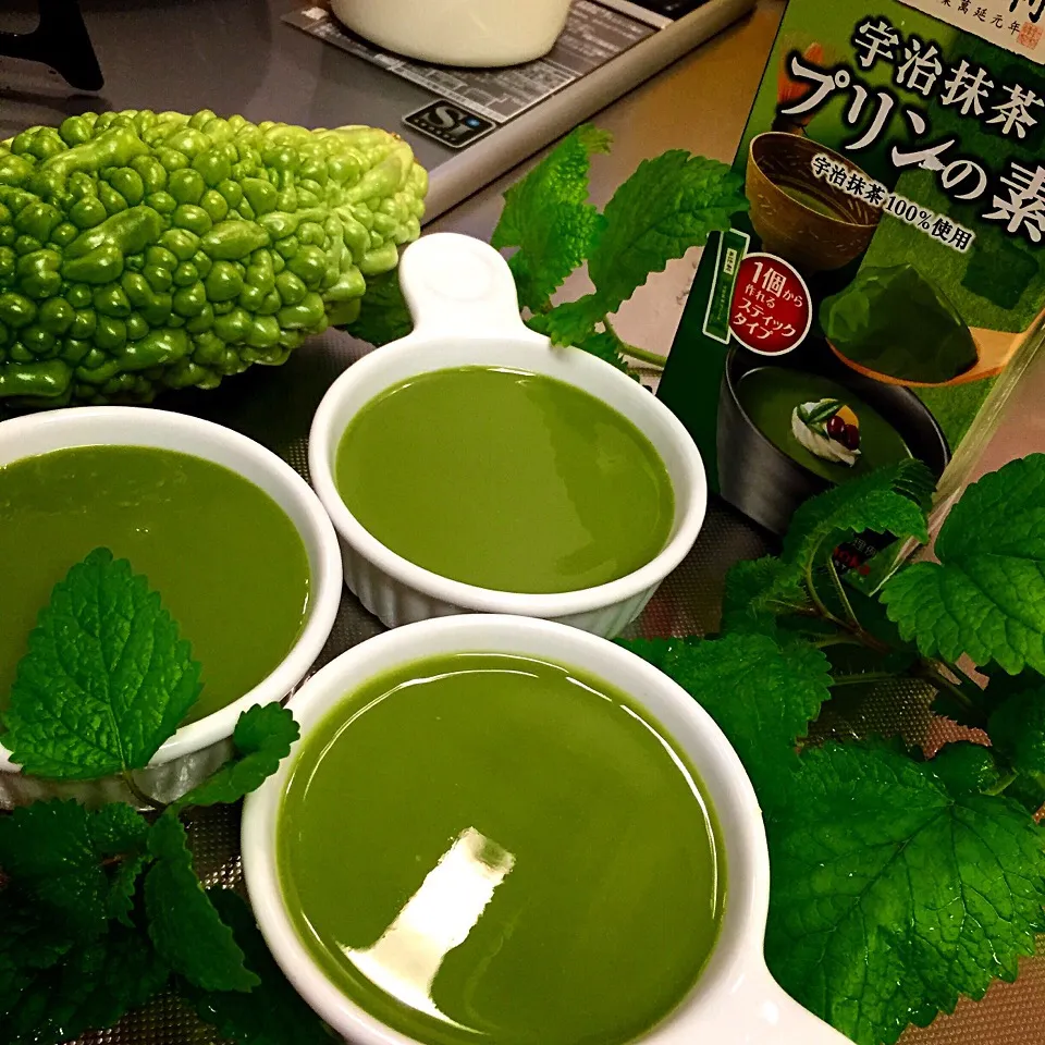 抹茶プリンの素で抹茶プリン|Akiko Haruyamaさん