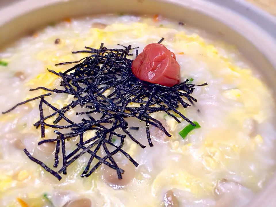 白だしの鶏雑炊。|インコさんさん