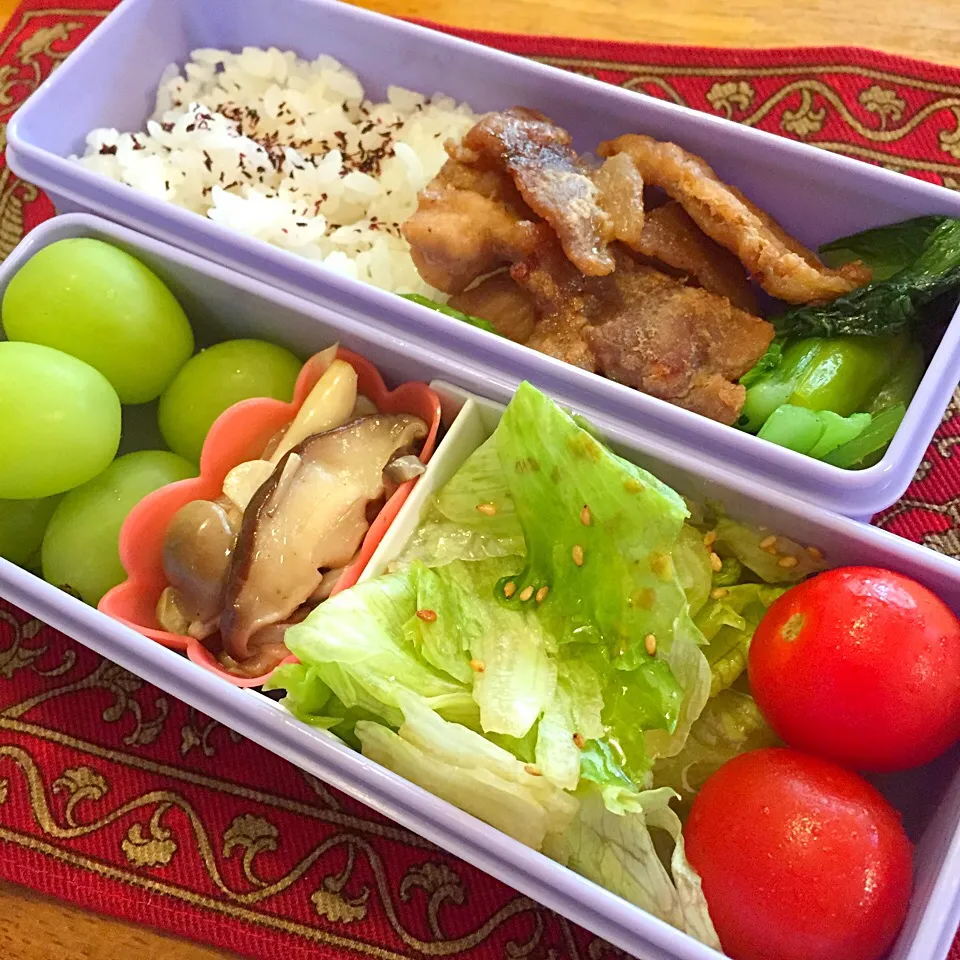 豚肉の生姜焼きと野菜サラダ弁当|もえさん