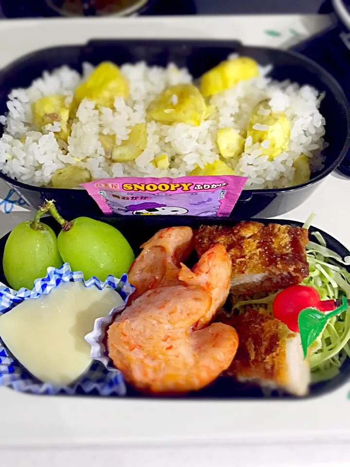 子供お弁当🍱  栗ご飯  梅おかかふりかけ ロザリアブランコ葡萄  豚カツ  キャベツの千切り  カニ爪蒲鉾  卵豆腐|ch＊K*∀o(^^*)♪さん