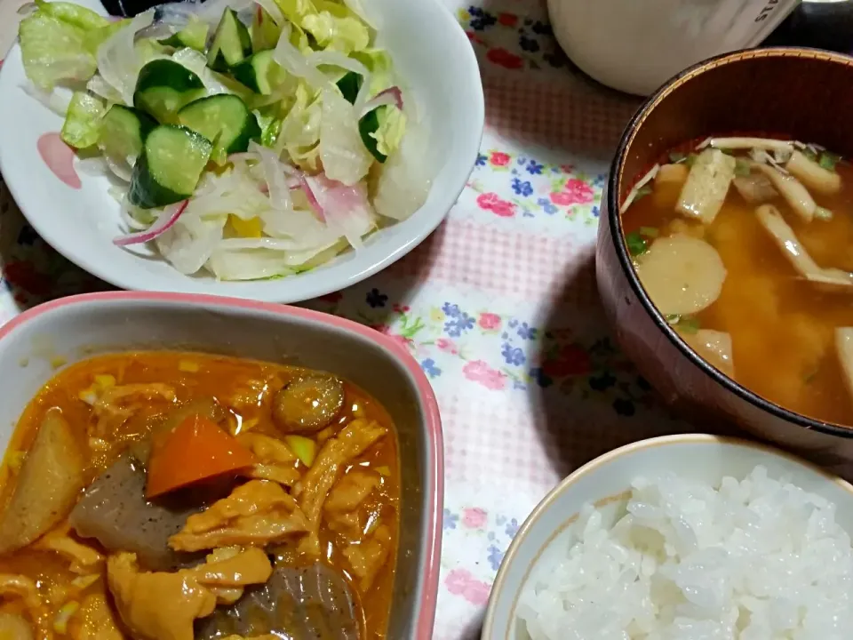 １６日(水)ホルモンのもつ煮|こやっこさん