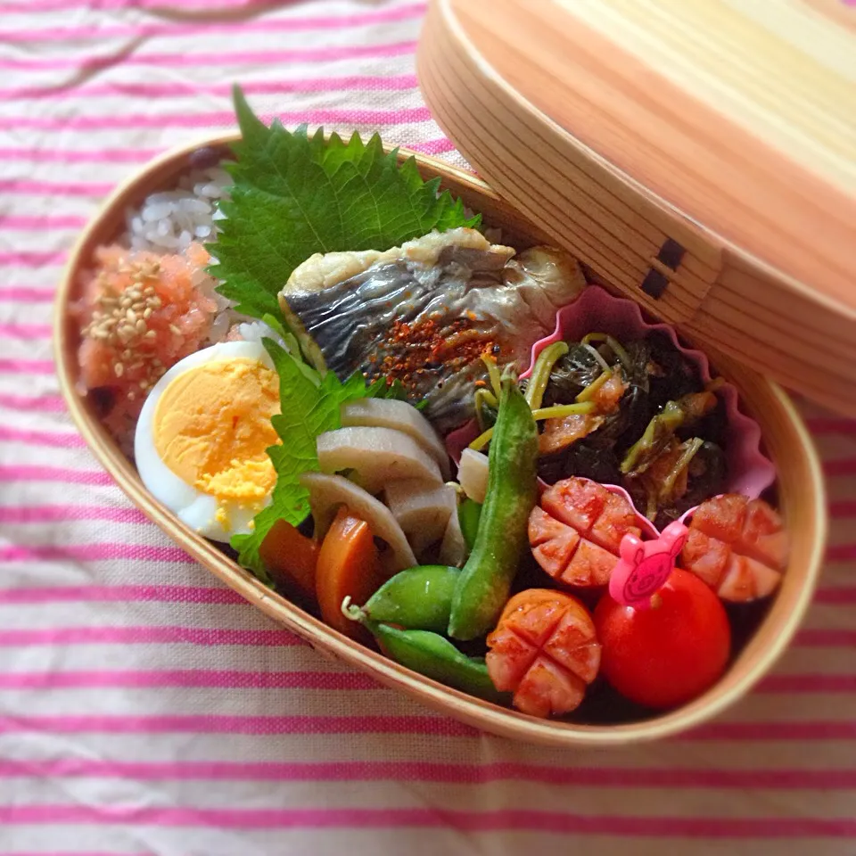 9/18きょうのわっぱ弁当|ネコのかりかりさん