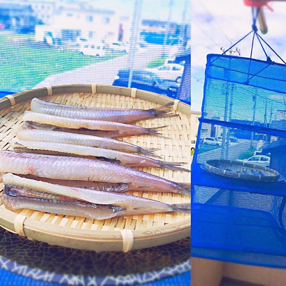 Snapdishの料理写真:めぎす🐟一夜干し|yukainaさん