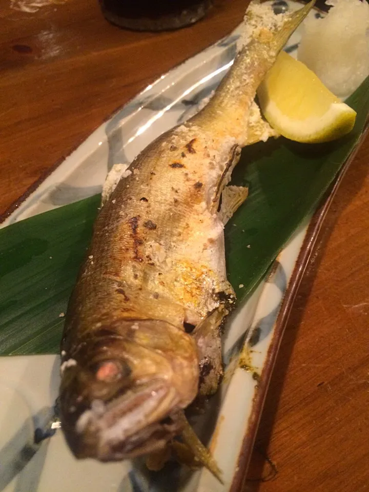 天然鮎の塩焼き|沼澤宏幸さん