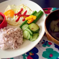 1日断食後のご飯(⑅˃◡˂⑅)
食べすぎかなぁ〜|ぷぷさん