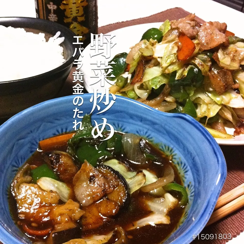 #15091803 野菜炒め エバラ焼肉のたれ/ご飯 ¥260|dune725さん