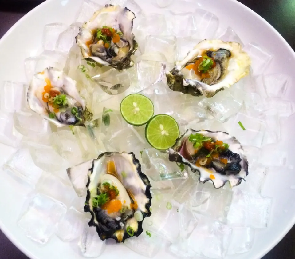 Oysters from Seattle by Red Eye Fish|sooprcoolchicaさん