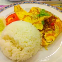 Snapdishの料理写真:ข้าวไข่ยัดไส้หมูสับ 🍚🍳🐷 #tooklaedee #foodland|Gamgamntpさん