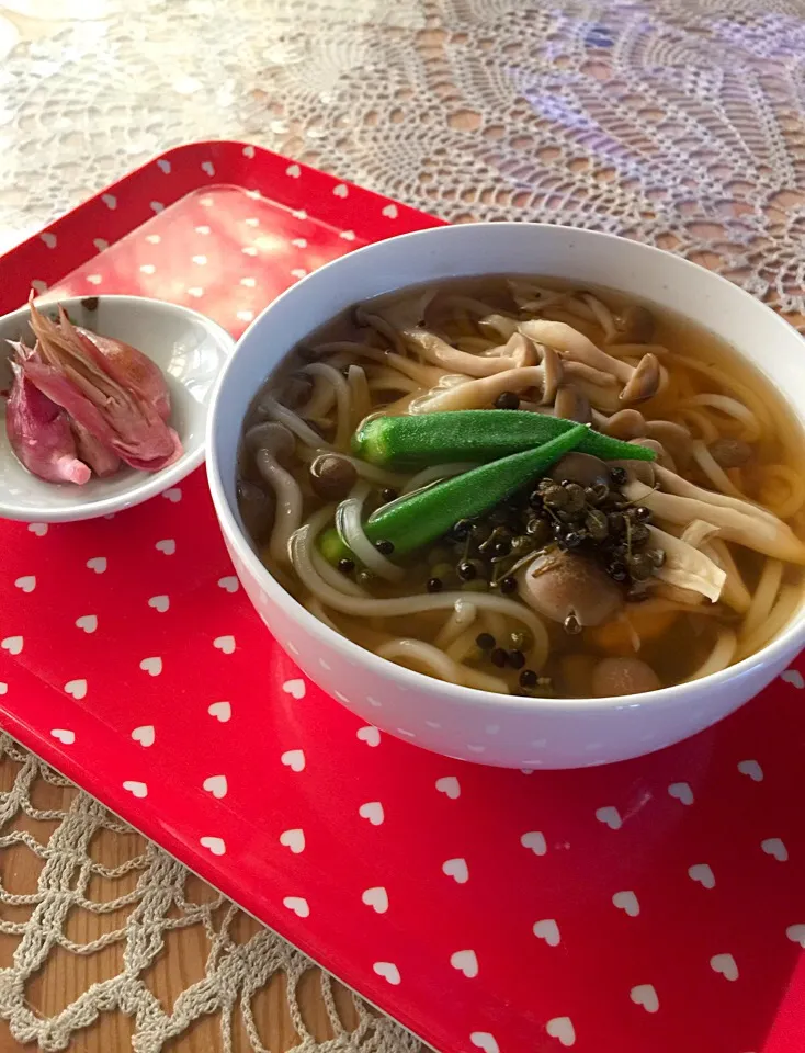 🕐ミョウガの酢漬け💮.山椒の実💮
     シメジ入り細うどんでお昼です|keikoさん