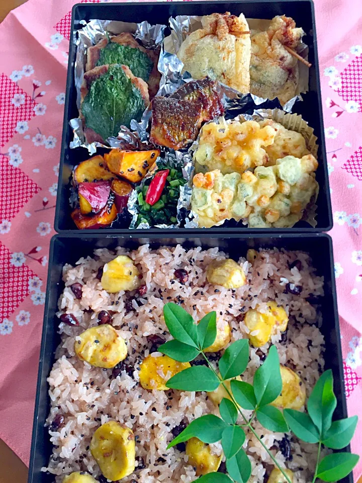 敬老の日のお弁当|Miki (^_−)−☆さん