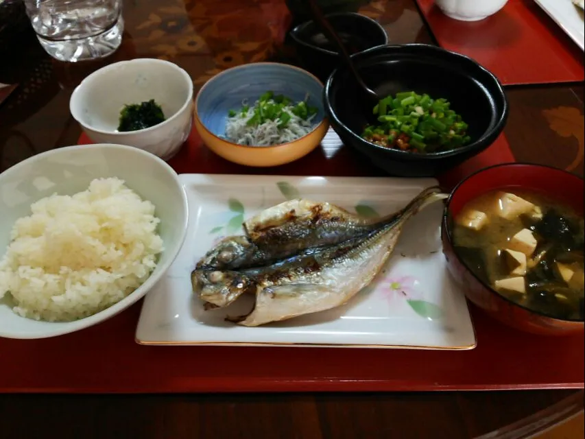 鯵の干物、しらす、生海苔、納豆
私が好きなものばかり
完璧な朝ごはん|kamekameさん