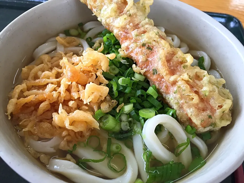 ひやしかけ中うどん|たぁちさん