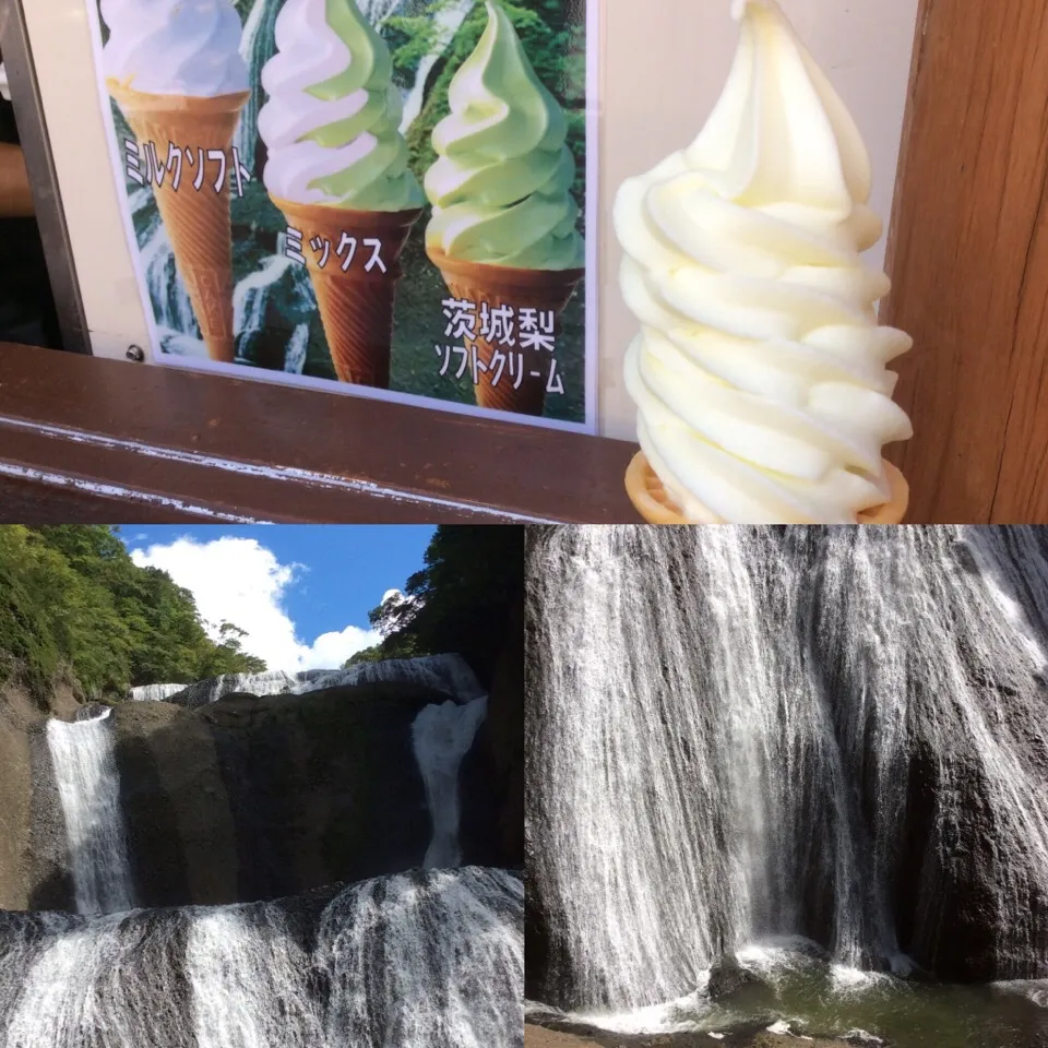 茨城県の梨ソフトクリーム😋🍦|アライさんさん