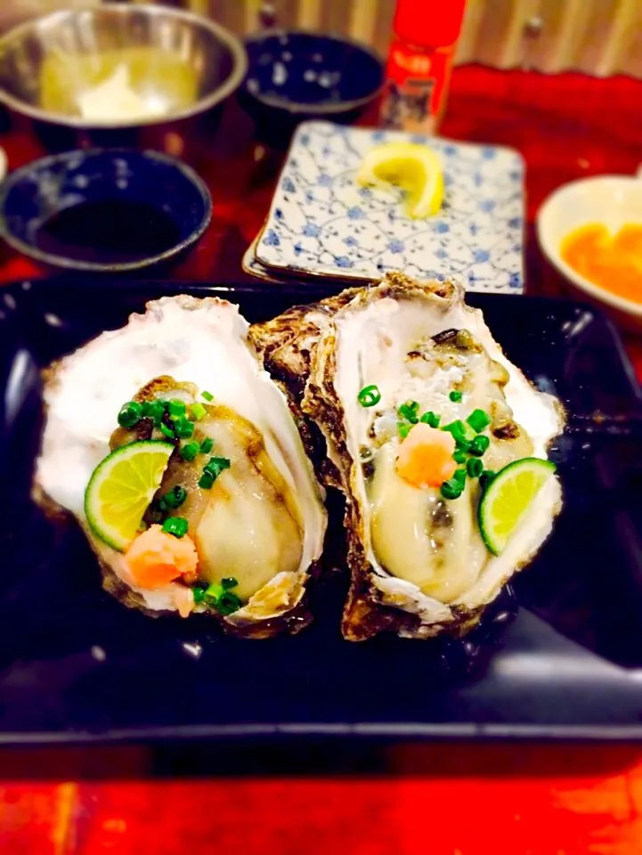 Oysters fresh|sharmellさん