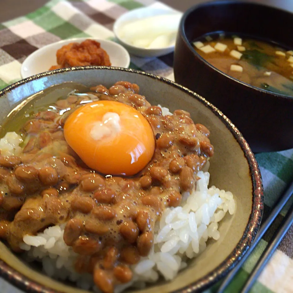 納豆ご飯|さるさん