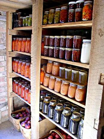 Root Cellar at Oakland Organic Farms 🍅 💚 🍅 #Vegetable #Organic #Fruit #Canning #FarmersMarket|Alisha GodsglamGirl Matthewsさん