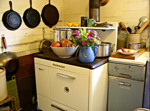 🌽🍃A Day at Oakland Organic Farms🍃🌽 Kitchen with Wood Cookstove #LouisianaGirl #Lifestyle #Organic|Alisha GodsglamGirl Matthewsさん