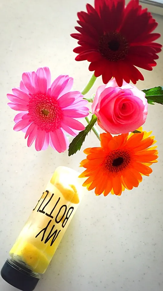 デトックスウォーター！|Tina Tomoko😋さん