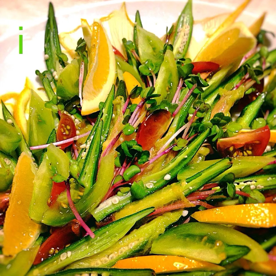 花オクラ&オクラのサラダ okra with its flower's salad|izoomさん