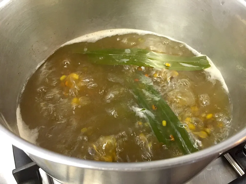 Boiling Green Beans Soup|Colleen Teoさん