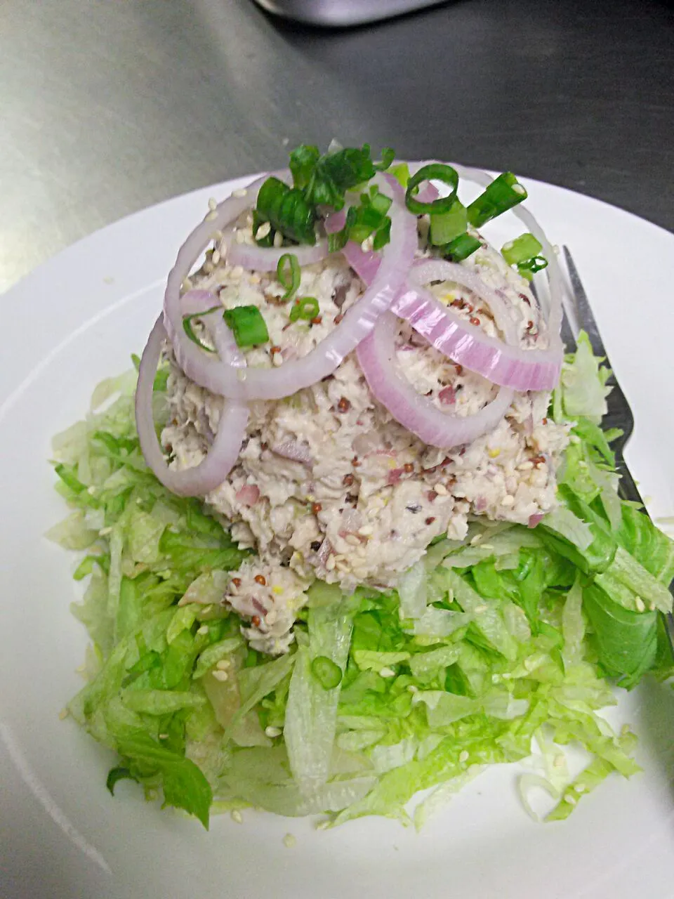 chopped chicken salad , topped with onion and green onion..|Chef-Jonathan TRさん