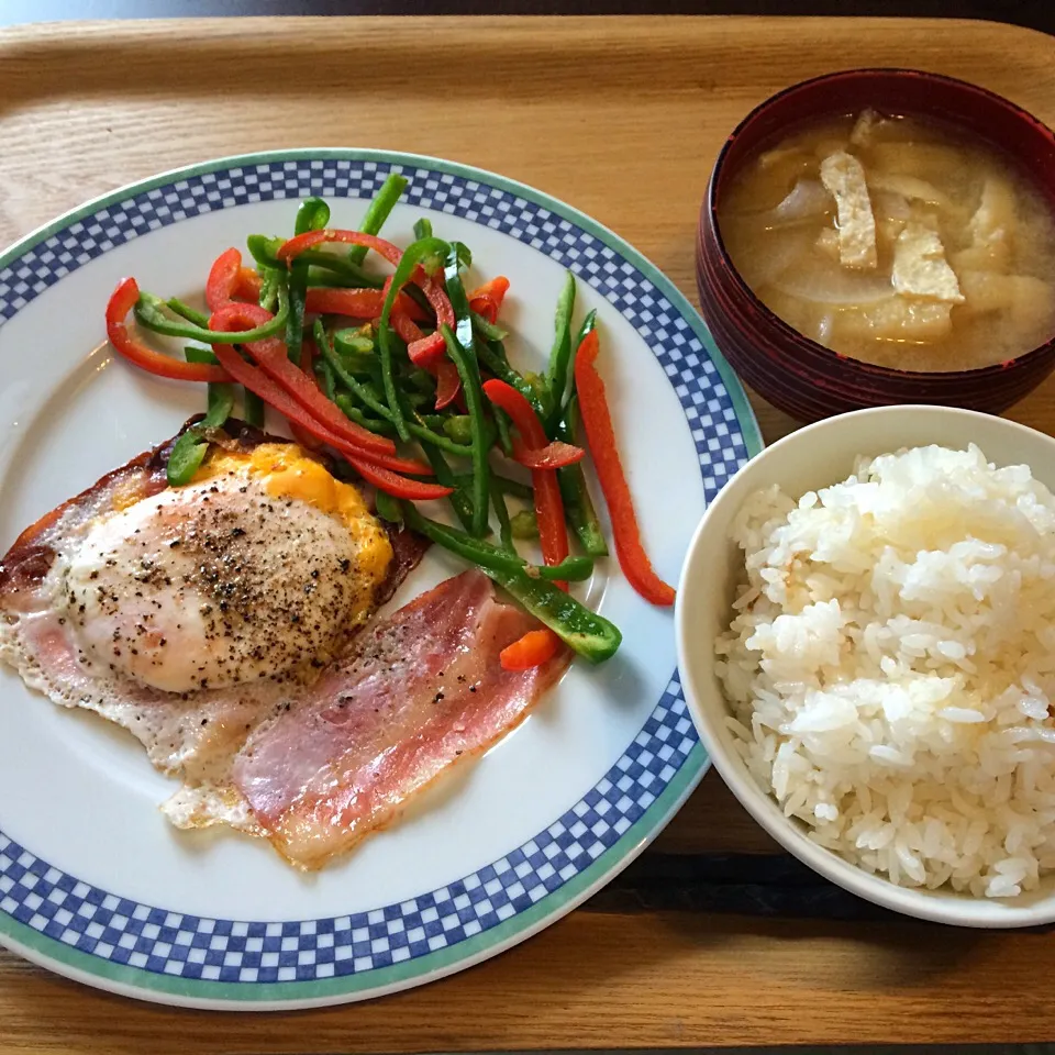 9/25/2015 お昼ご飯。|Jean Nobyさん