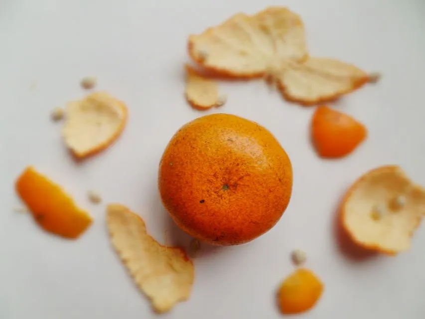 jeruk  #Fruit #Healthy #sweet #Snack/Teatime|rainyさん