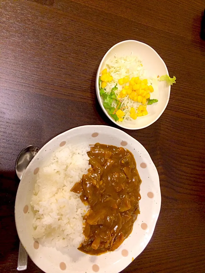 2015.9.24 晩御飯|あいさん