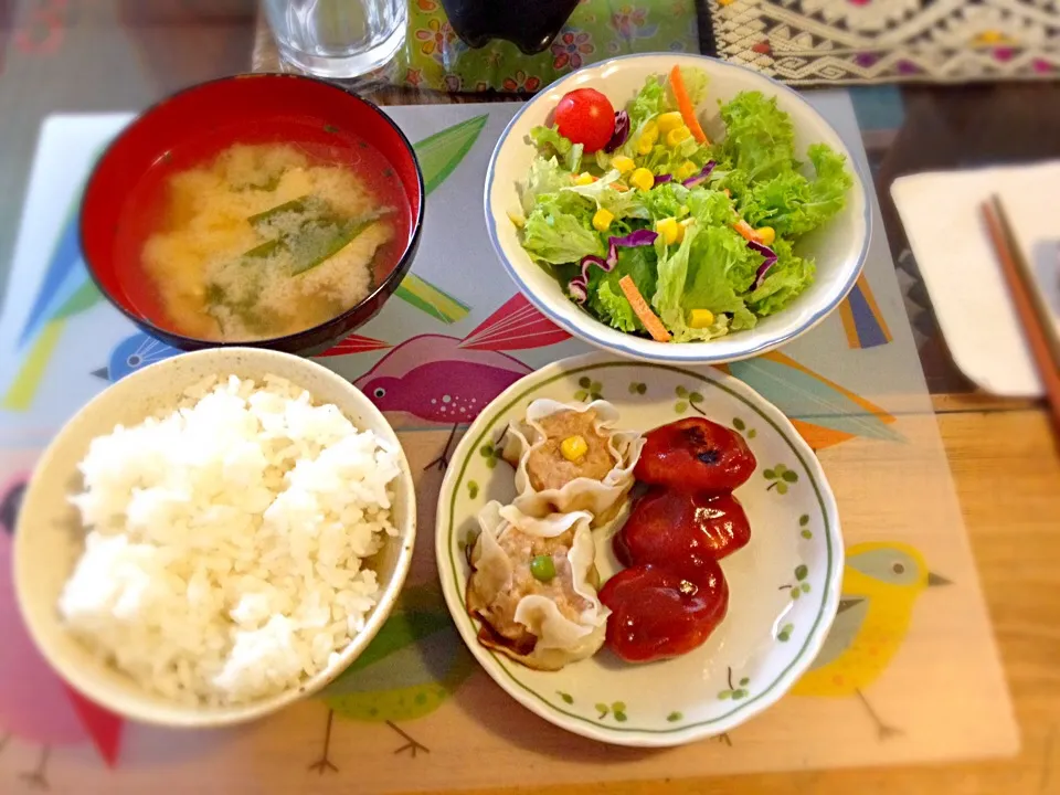 Snapdishの料理写真:シュウマイとハンバーグ ランチ🍴|チビミミさん