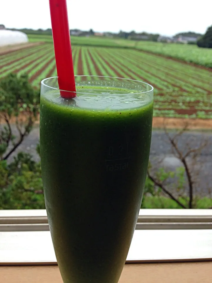 Kiwi smoothie☆♪|viviさん