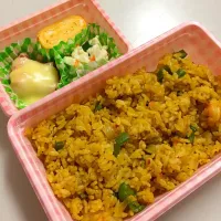 いただきもの弁当|のんちゃんさん