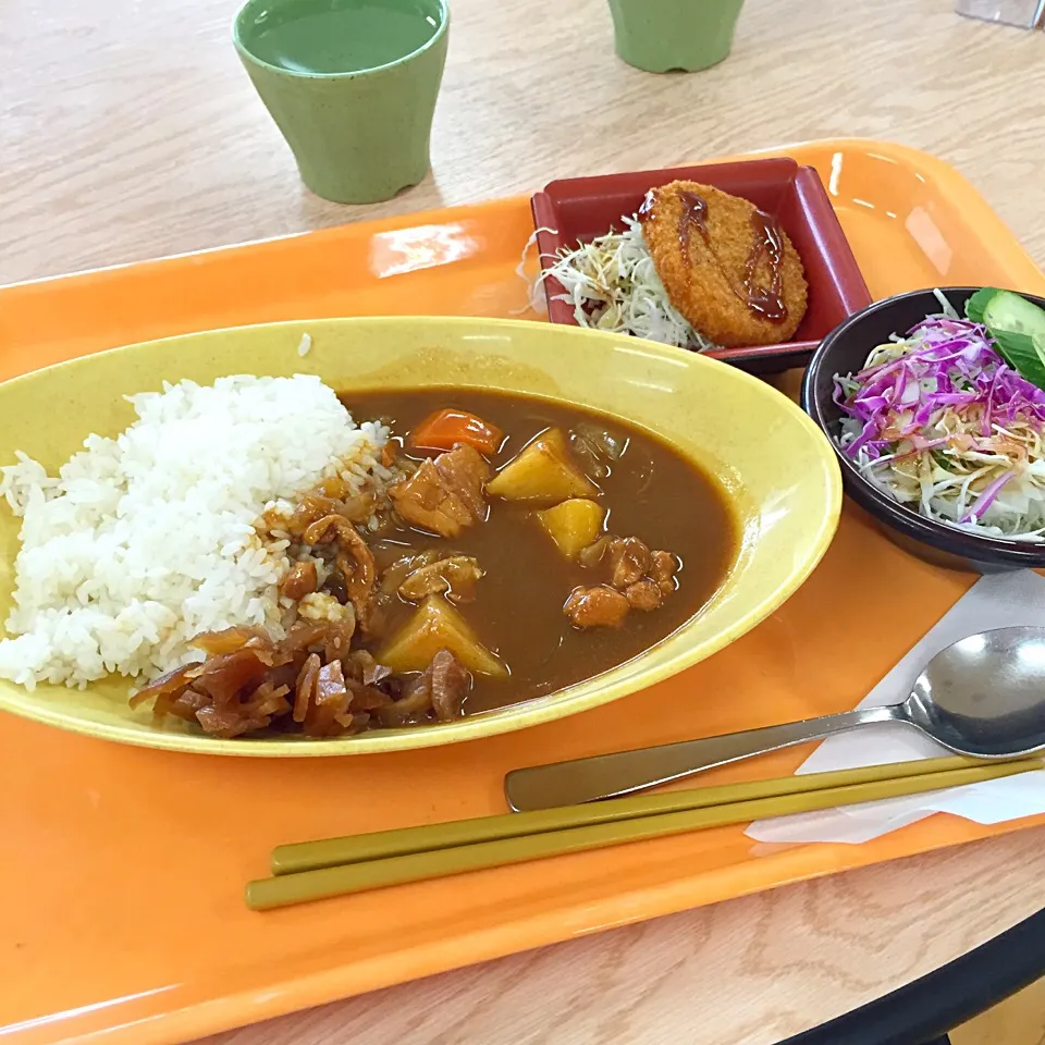 チキンカレー*\(^o^)/*昨日のランチ|すかラインさん