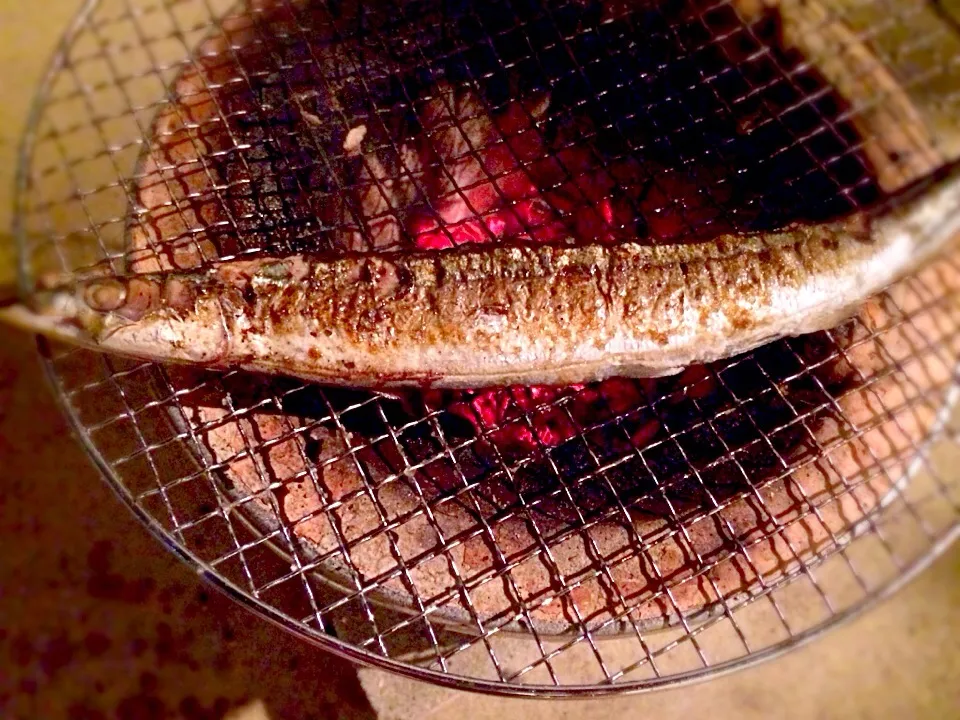 七輪で秋刀魚〜！うまいっ♡|なかじー。さん